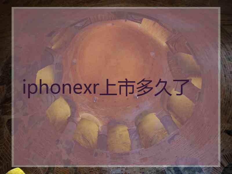 iphonexr上市多久了