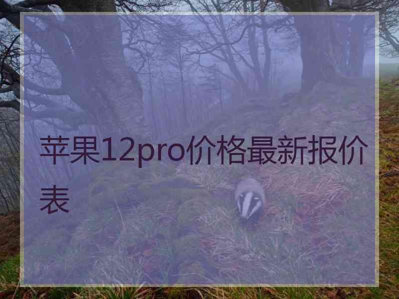 苹果12pro价格最新报价表