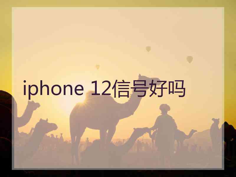 iphone 12信号好吗