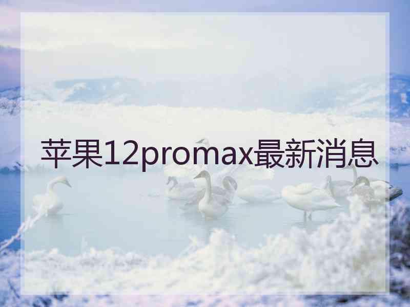 苹果12promax最新消息