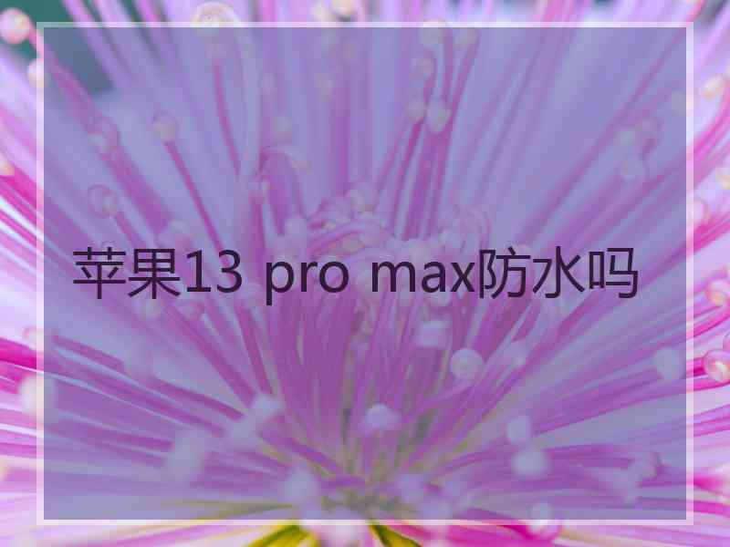 苹果13 pro max防水吗