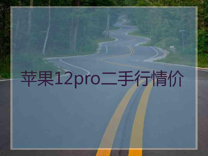 苹果12pro二手行情价