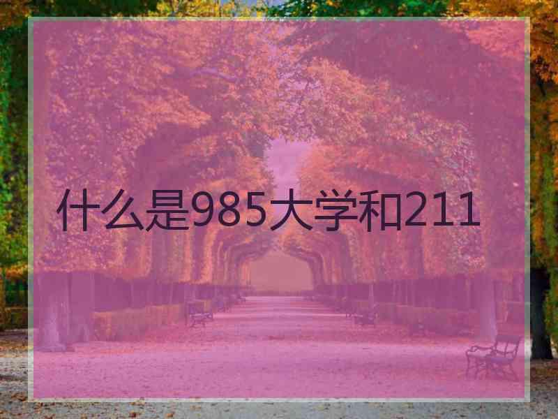 什么是985大学和211