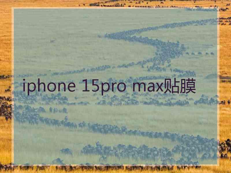 iphone 15pro max贴膜