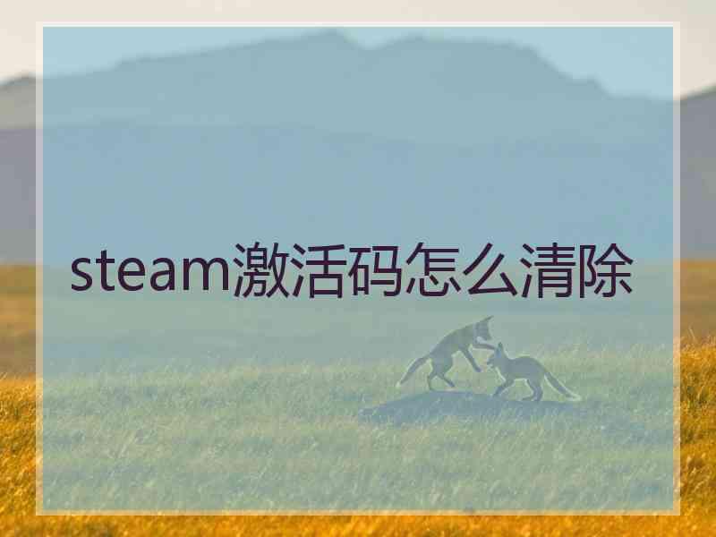 steam激活码怎么清除