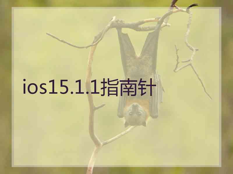 ios15.1.1指南针