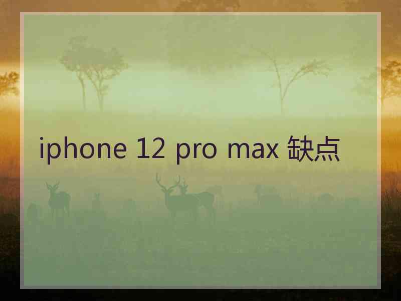 iphone 12 pro max 缺点