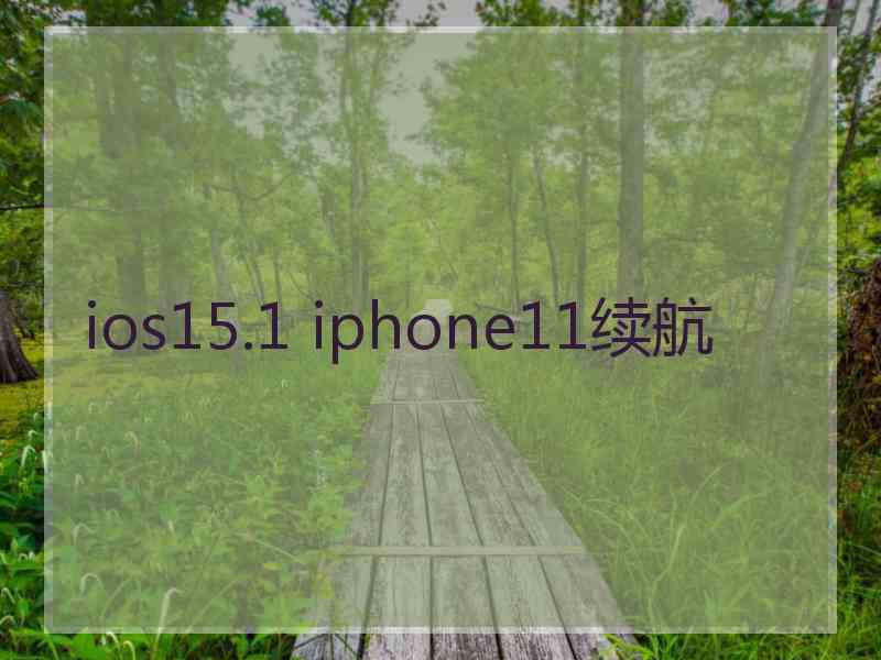 ios15.1 iphone11续航