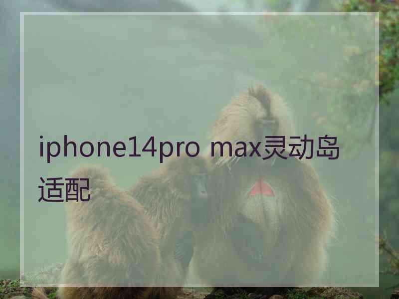 iphone14pro max灵动岛适配