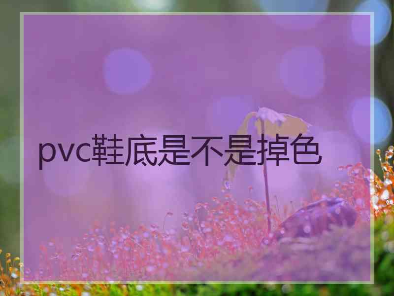 pvc鞋底是不是掉色