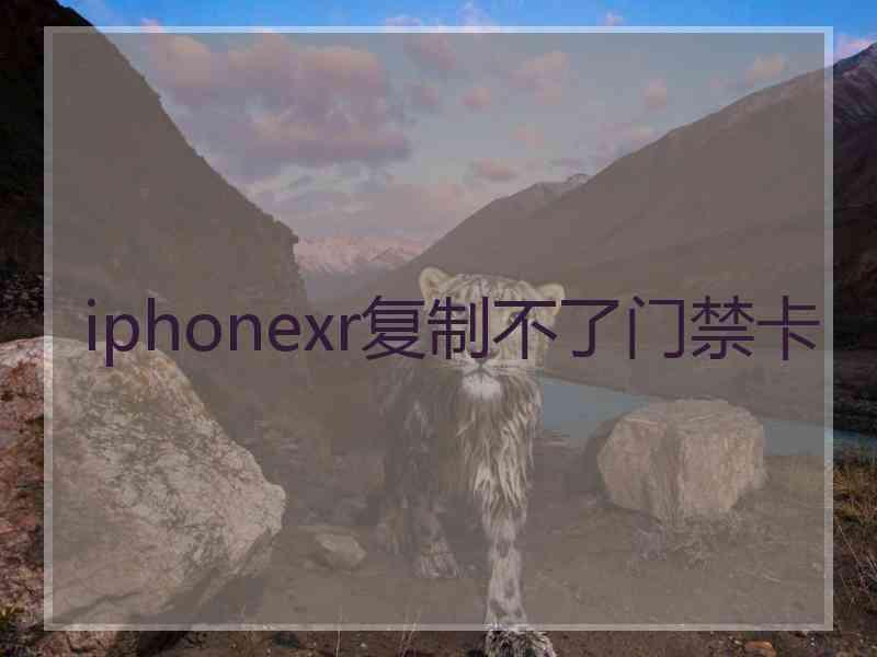 iphonexr复制不了门禁卡