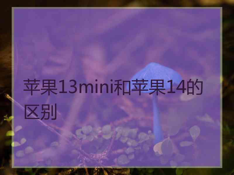 苹果13mini和苹果14的区别