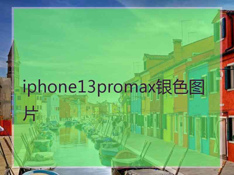 iphone13promax银色图片