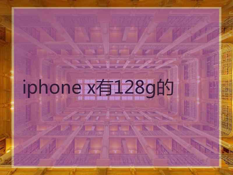 iphone x有128g的