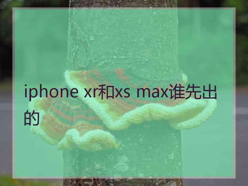 iphone xr和xs max谁先出的