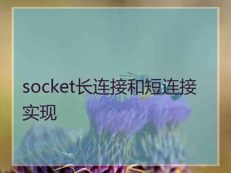 socket长连接和短连接实现