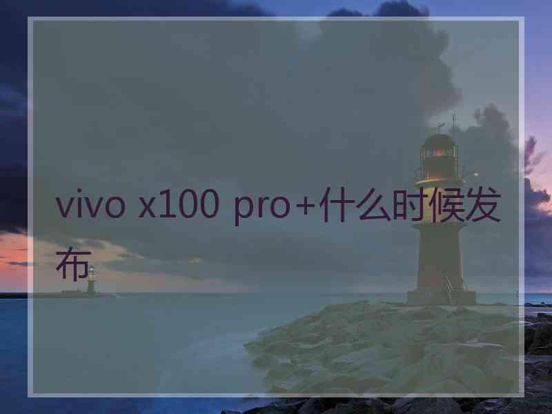 vivo x100 pro+什么时候发布