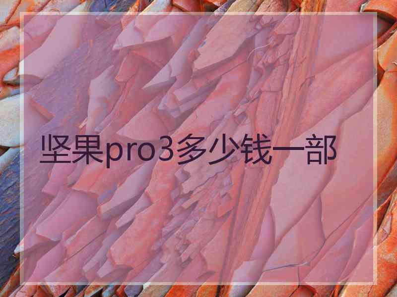 坚果pro3多少钱一部