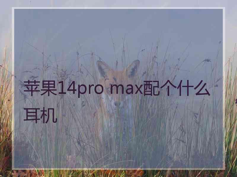 苹果14pro max配个什么耳机