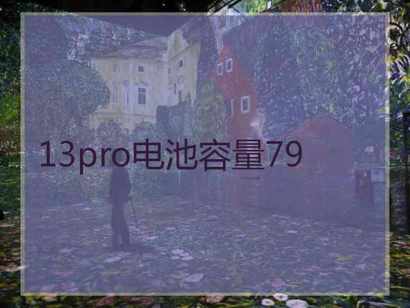 13pro电池容量79