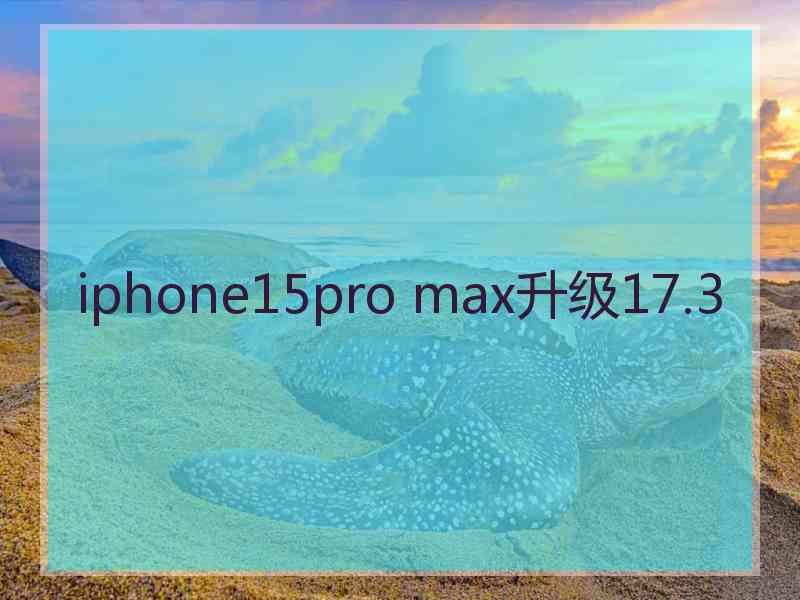 iphone15pro max升级17.3