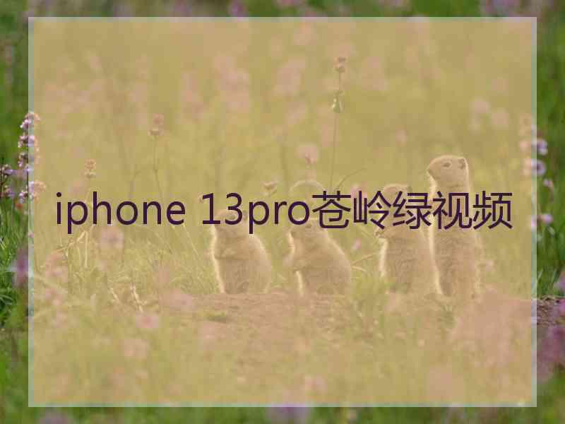 iphone 13pro苍岭绿视频