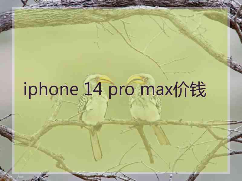 iphone 14 pro max价钱