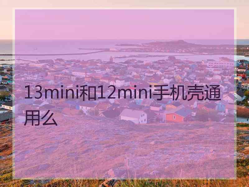 13mini和12mini手机壳通用么