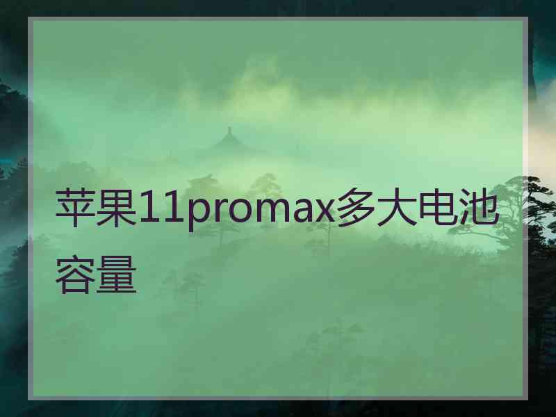 苹果11promax多大电池容量