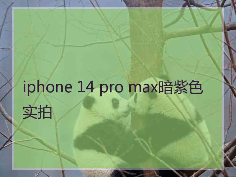 iphone 14 pro max暗紫色实拍