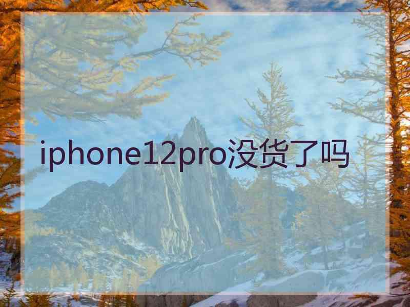 iphone12pro没货了吗