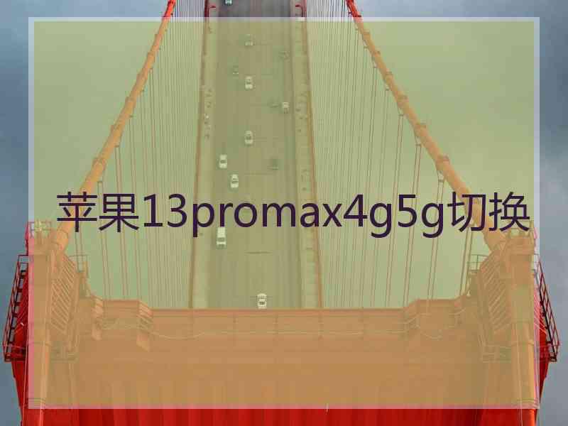 苹果13promax4g5g切换