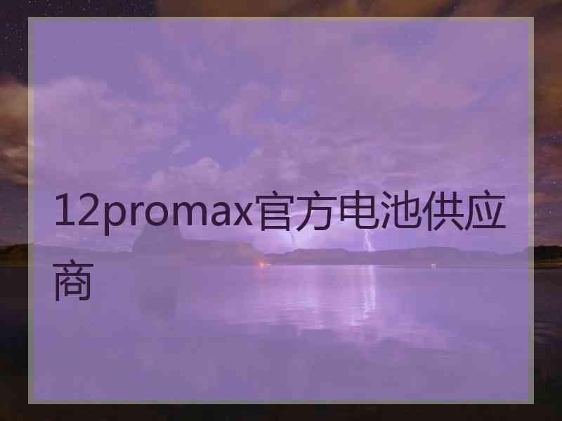 12promax官方电池供应商