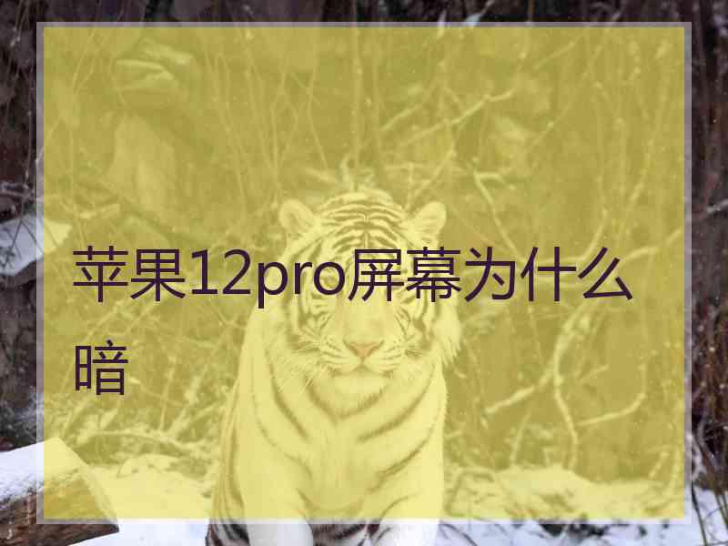 苹果12pro屏幕为什么暗