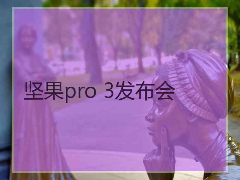 坚果pro 3发布会