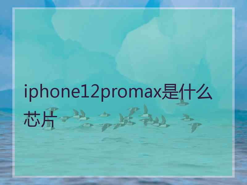 iphone12promax是什么芯片