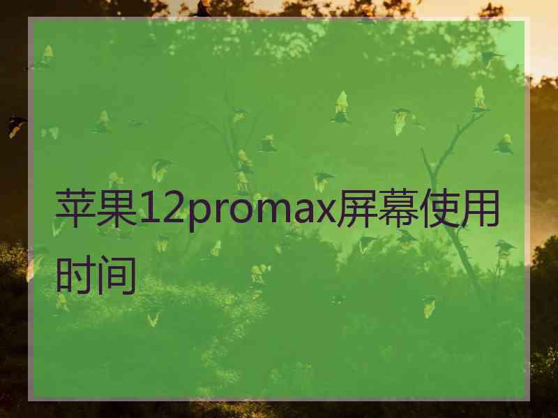 苹果12promax屏幕使用时间