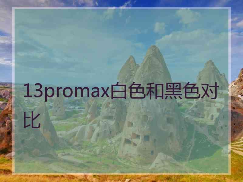 13promax白色和黑色对比