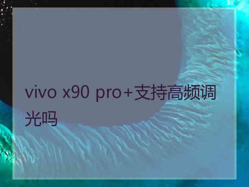 vivo x90 pro+支持高频调光吗