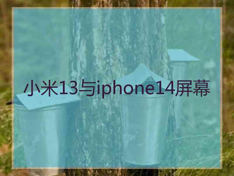 小米13与iphone14屏幕