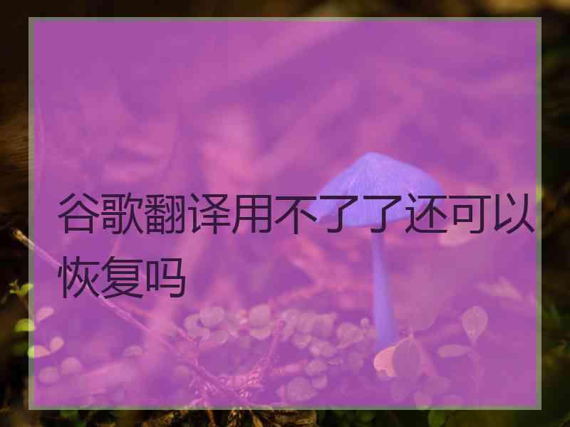 谷歌翻译用不了了还可以恢复吗