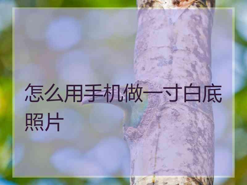 怎么用手机做一寸白底照片