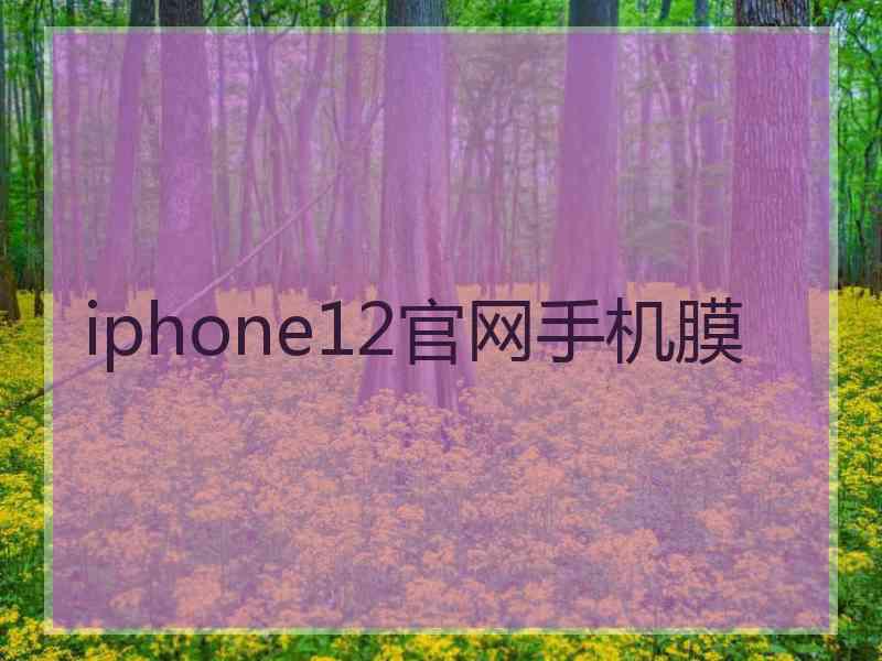 iphone12官网手机膜