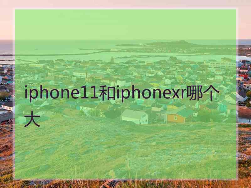 iphone11和iphonexr哪个大