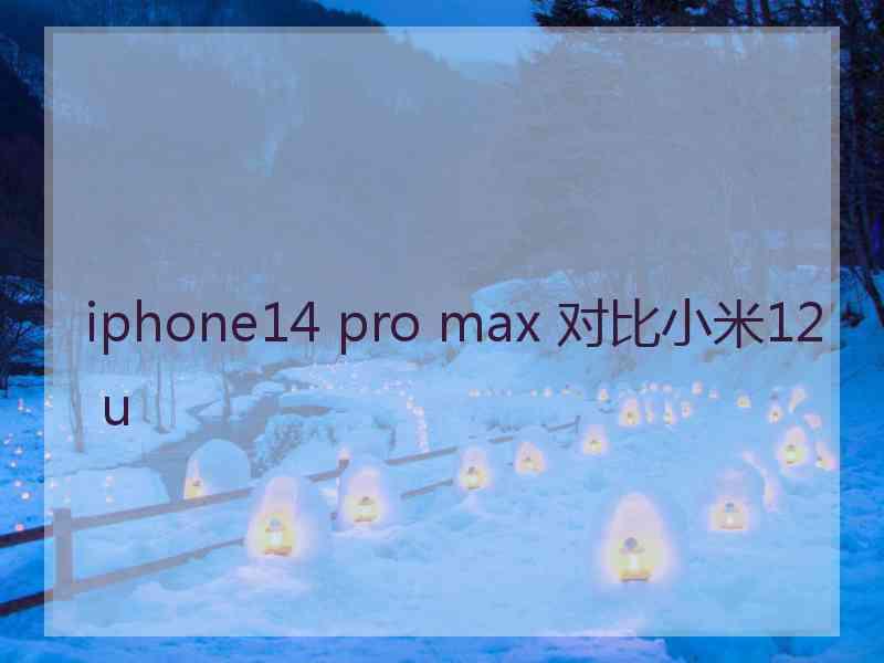 iphone14 pro max 对比小米12 u