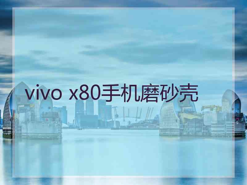 vivo x80手机磨砂壳