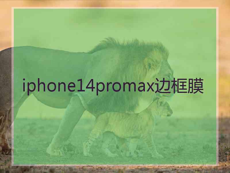 iphone14promax边框膜