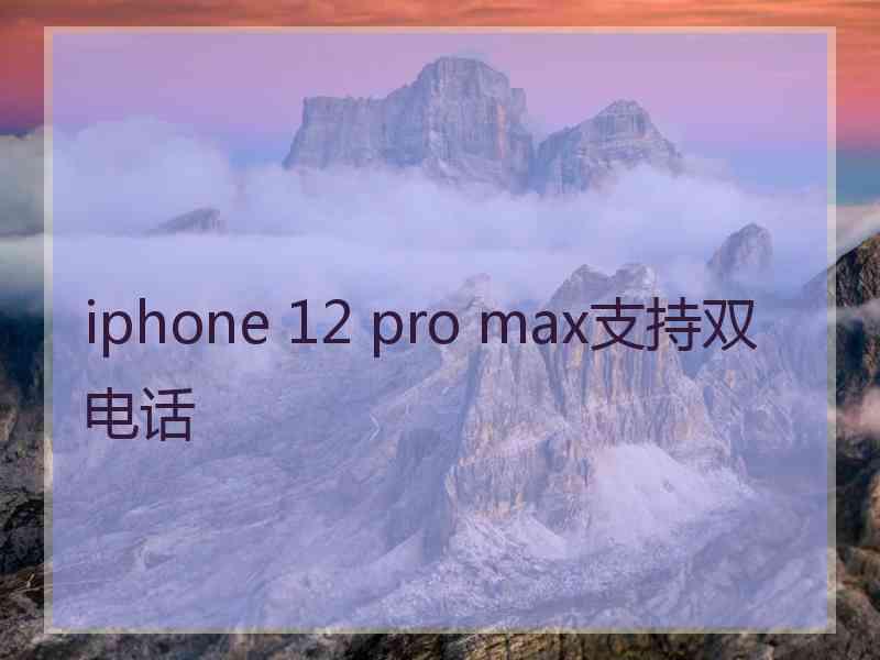 iphone 12 pro max支持双电话