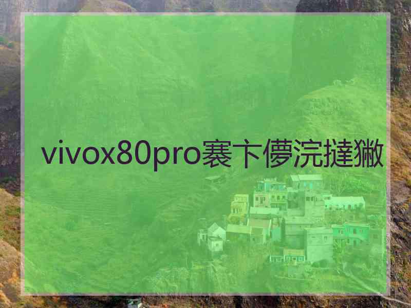 vivox80pro褰卞儚浣撻獙