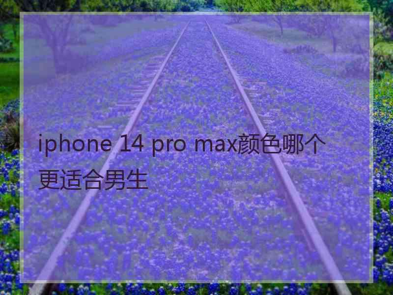 iphone 14 pro max颜色哪个更适合男生